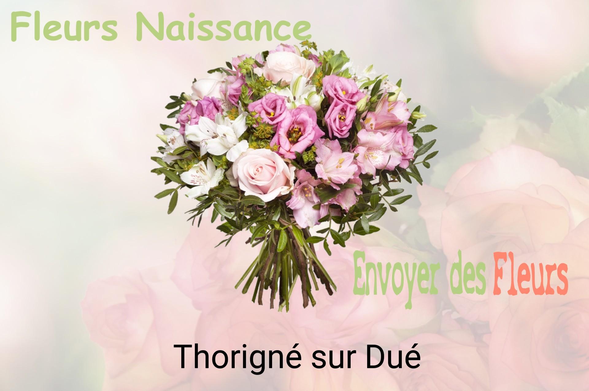 Bouquet de fleurs de naissance livré à Thorigné-sur-Dué